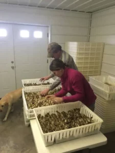 Bird Farming in Bucyrus, OH