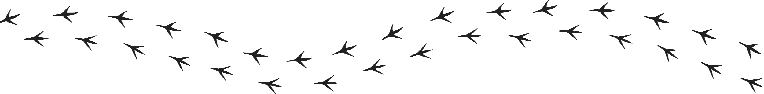 Bird feet