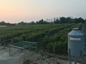 Farm Arial