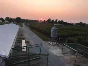 Farm At Sunset