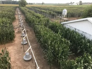 Farm Image